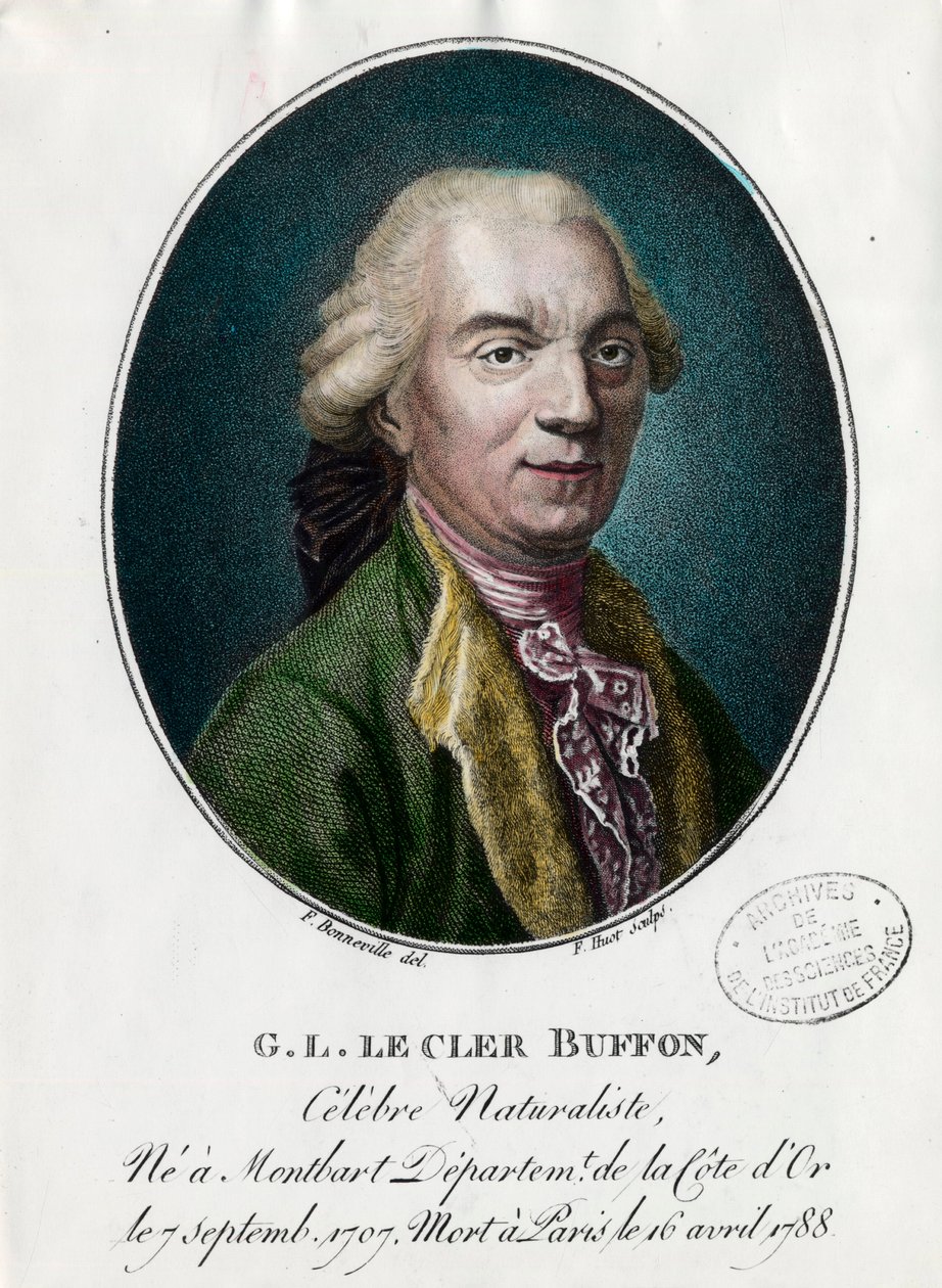 George Louis Le Clerc, Buffon grófjának portréja alkotó: Unknown artist