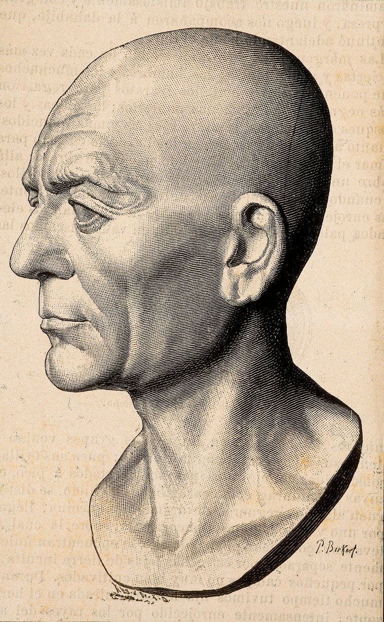 Publius Cornelius Scipio (Scipio, az afrikai) Africanus, római államférfi (i. e. 235-183) portréja. alkotó: Unknown artist