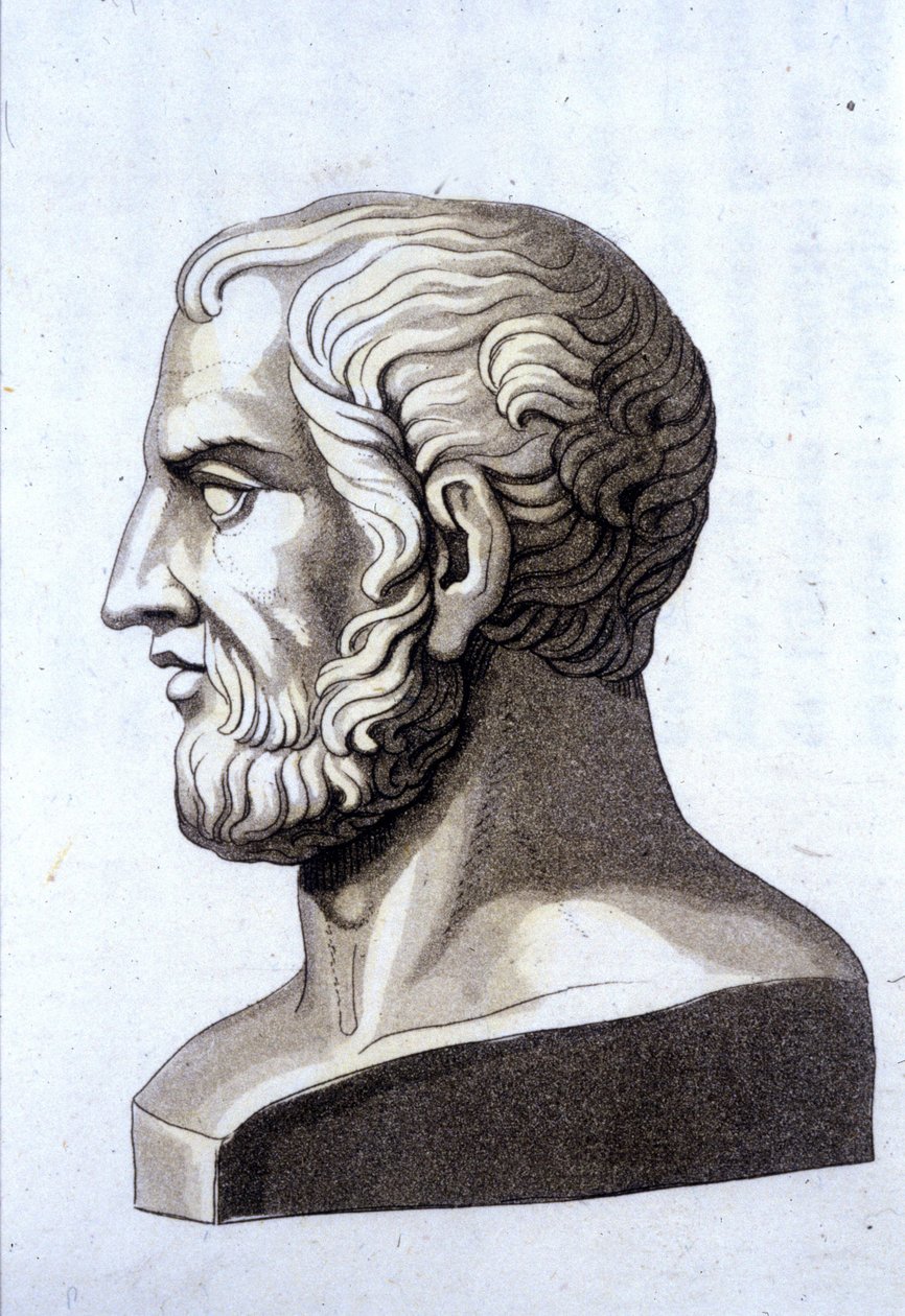 Theophraszt (Kr. e. 372- i. e. 287) görög filozófus portréja. alkotó: Unknown artist