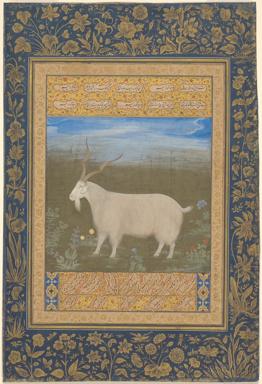 Egy ladakhi hegyi kecske portréja alkotó: Unknown artist