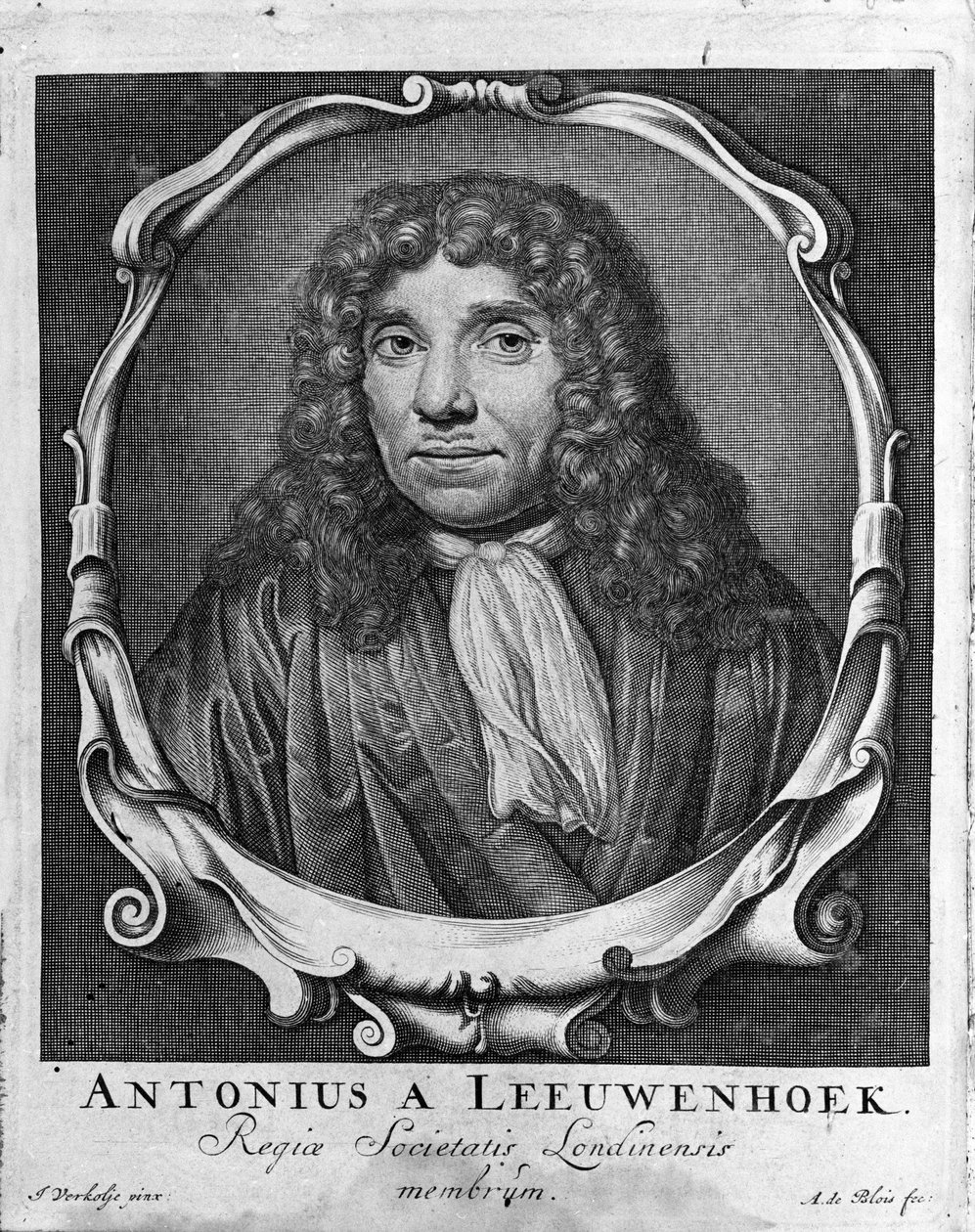 Antoine van Leeuwenhoek (vagy Leeuvenhoek Leeuwenhoeck) (vagy Antoni vagy Anthonie) (1632-1723) holland kereskedő és tudós portréja, metszet az „Investigatio Arcanorum” 1722-ből. alkotó: Unknown artist