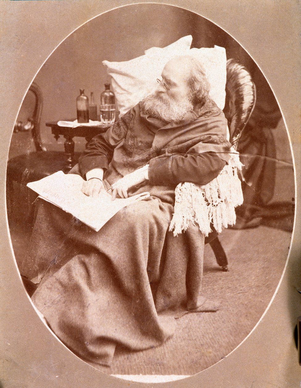 Portré az olasz hazafiról és a Risorgimento Giuseppe Garibaldi hőseiről (1807-1882) Caprerában 1882-ben. Fényképészeti Magángyűjtemény alkotó: Unknown artist