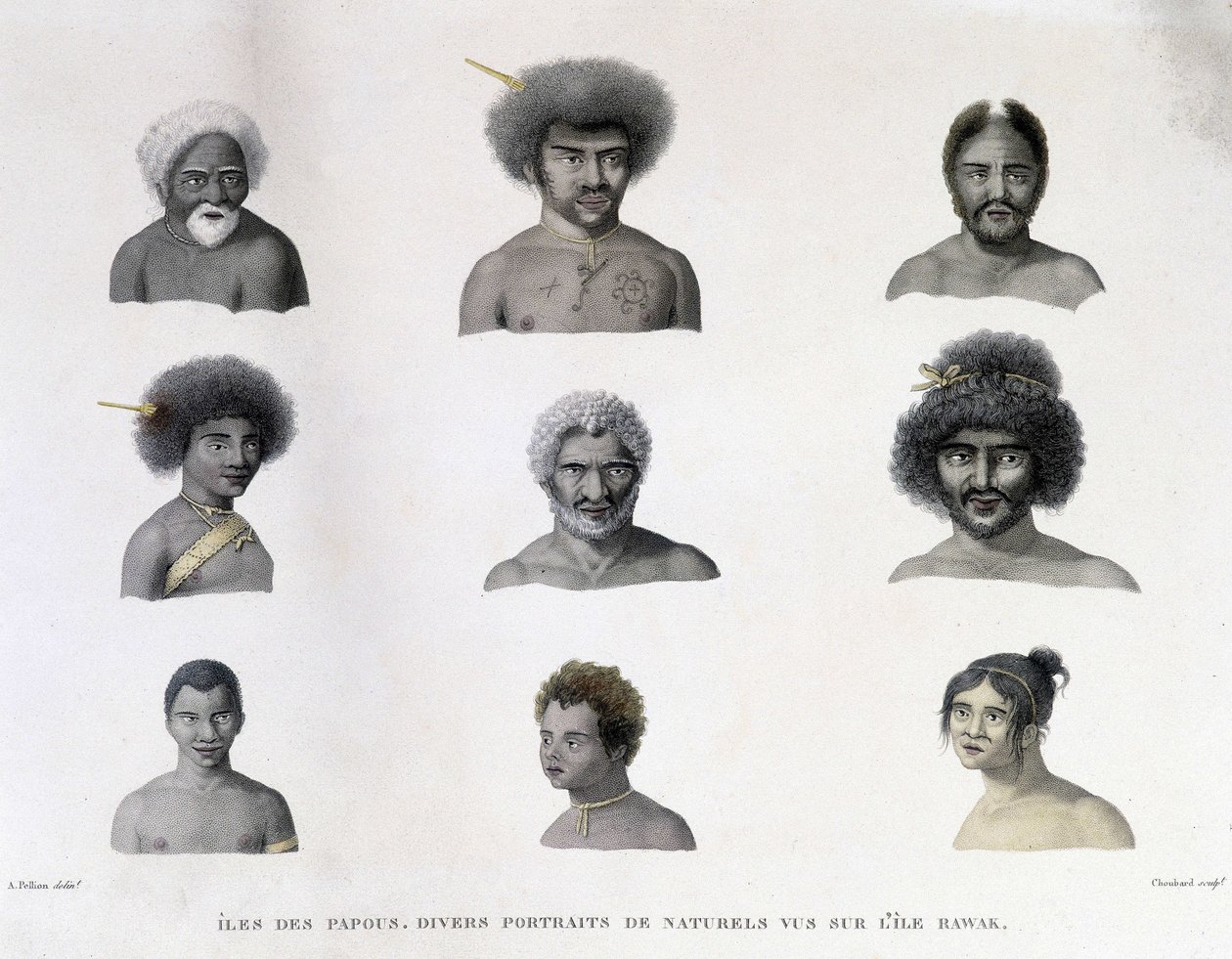 Pápua portréi Rawak szigetéről. alkotó: Unknown artist