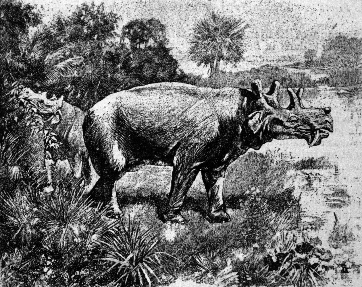 Őstörténet: egy négyszarvú Uintatherium dinoszaurusz ábrázolása. alkotó: Unknown artist