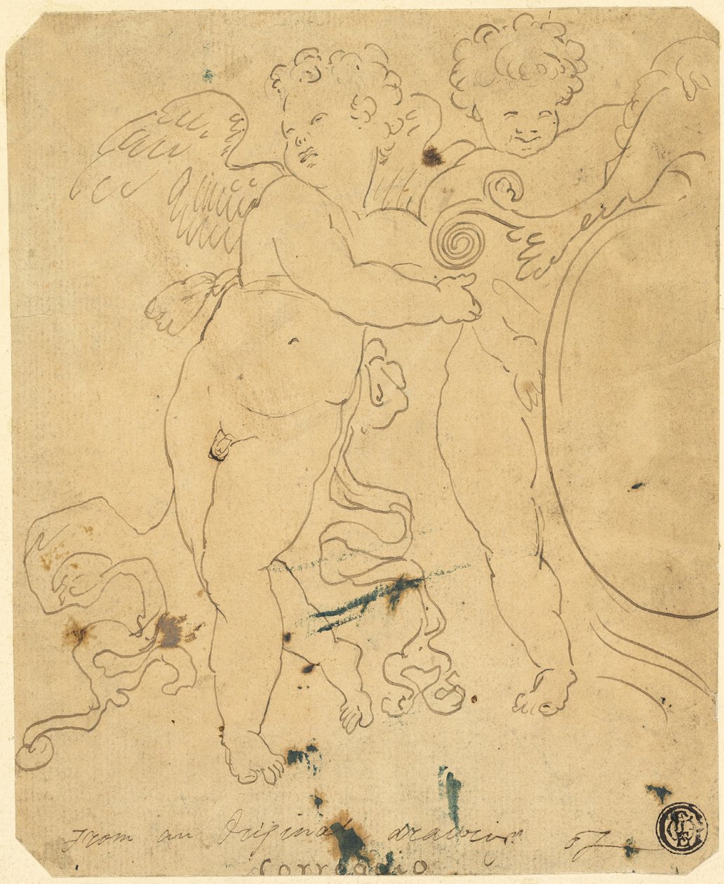 Putti Shielddel alkotó: Unknown artist