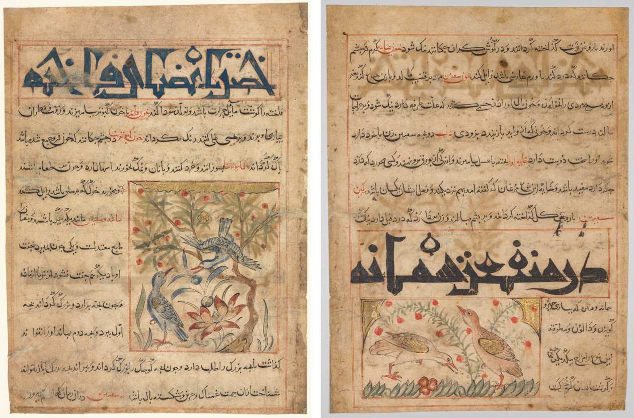 Ringdoves tulajdonságai (recto); A fürj előnyeiről (verso), Abu Said Ubaid-Allah ibn Jibrail ibn Bakhtishu (meghalt 1058-68) perzsa Manafi al-Hayawan (Az állatok előnyei) alkotó: Unknown artist