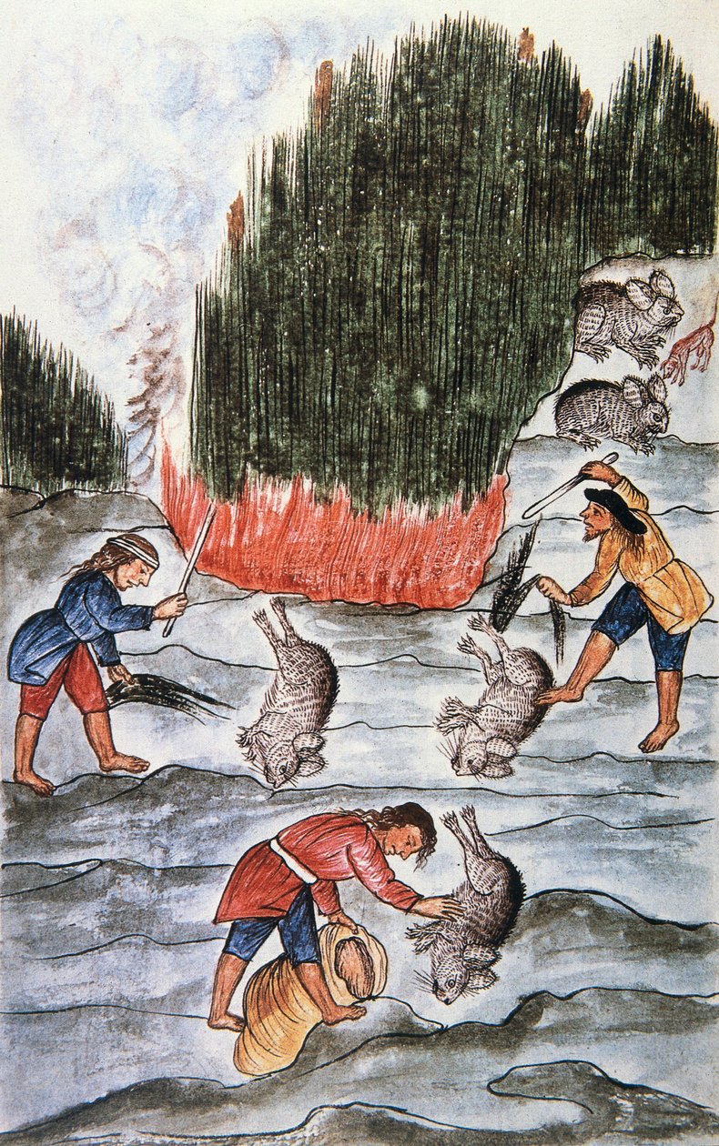 Nyúlvadászat, a "Trujillo del Peru" vagy a "Códice Martínez Compañón" könyvből, Baltazar Martinez Compañón y Bujanda, Trujillo püspöke (1782-1785) alkotó: Unknown artist