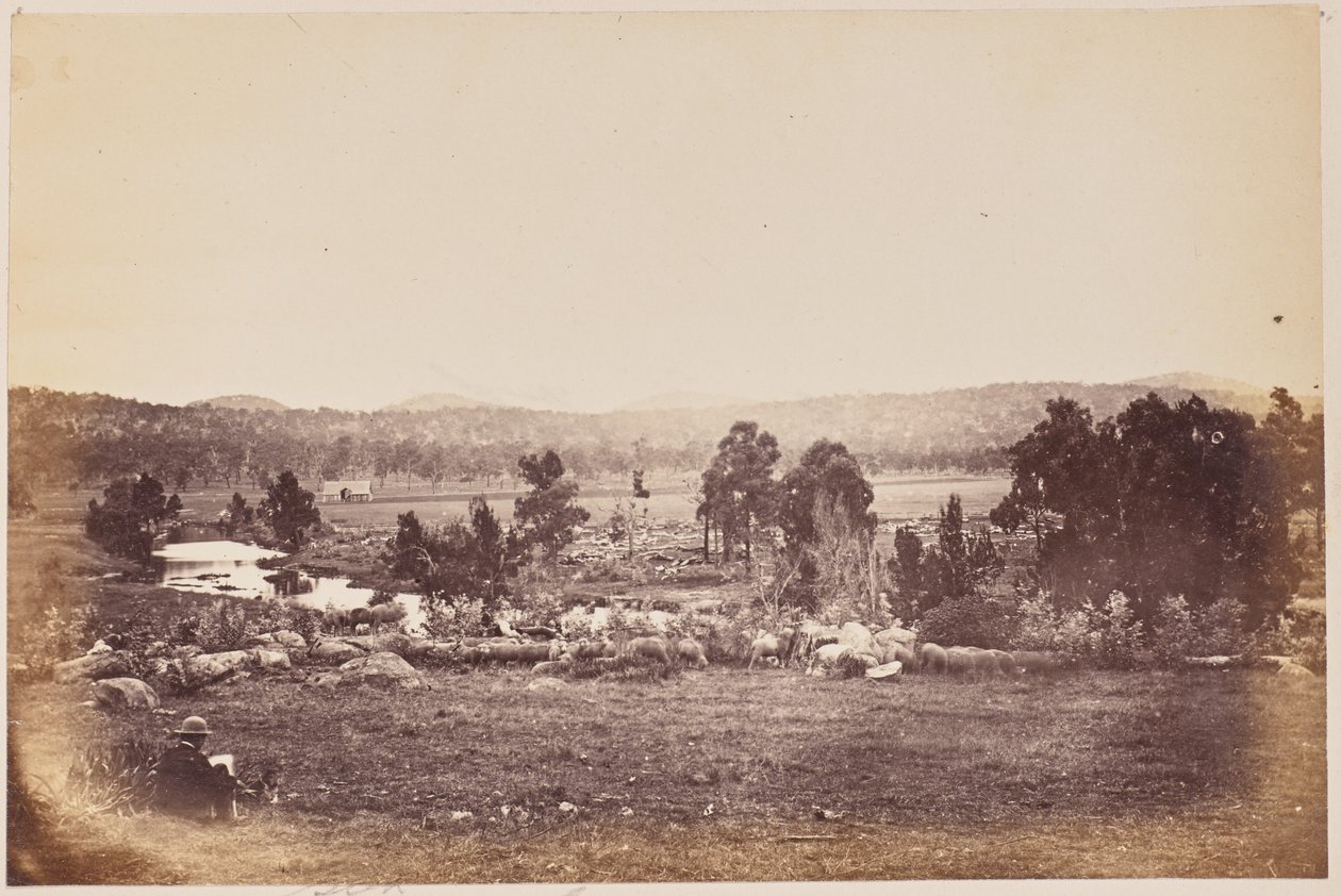 Rangers Valley, Északkelet, Glen Innes alkotó: Unknown artist