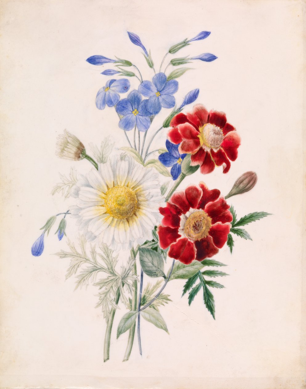 Piros és kék virágok és fehér százszorszép alkotó: Unknown artist