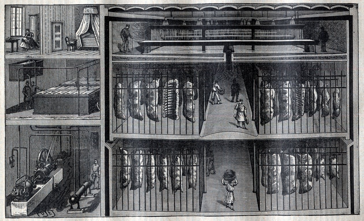 Hűtött hústároló helyiségek - „La Science francaise” metszet” alkotó: Unknown artist