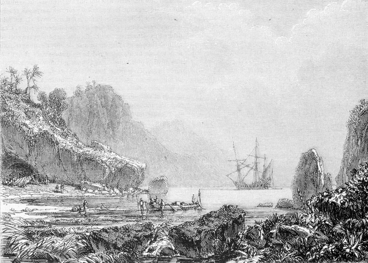 Teknős sziget ábrázolása. Metszet 19. század. alkotó: Unknown artist