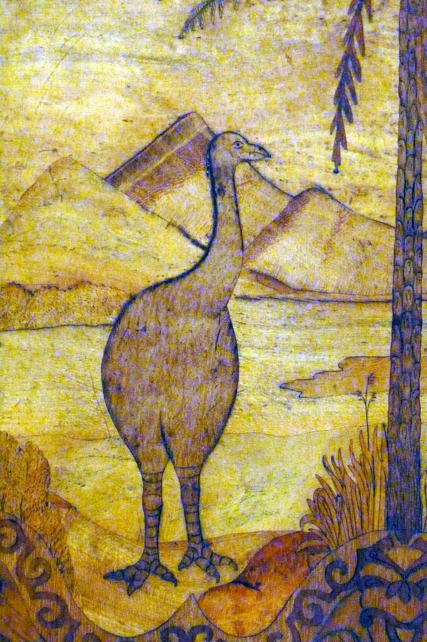 Egy új-zélandi Moa ábrázolása, halvány, repülni képtelen óriási madárfaj. 18. század alkotó: Unknown artist