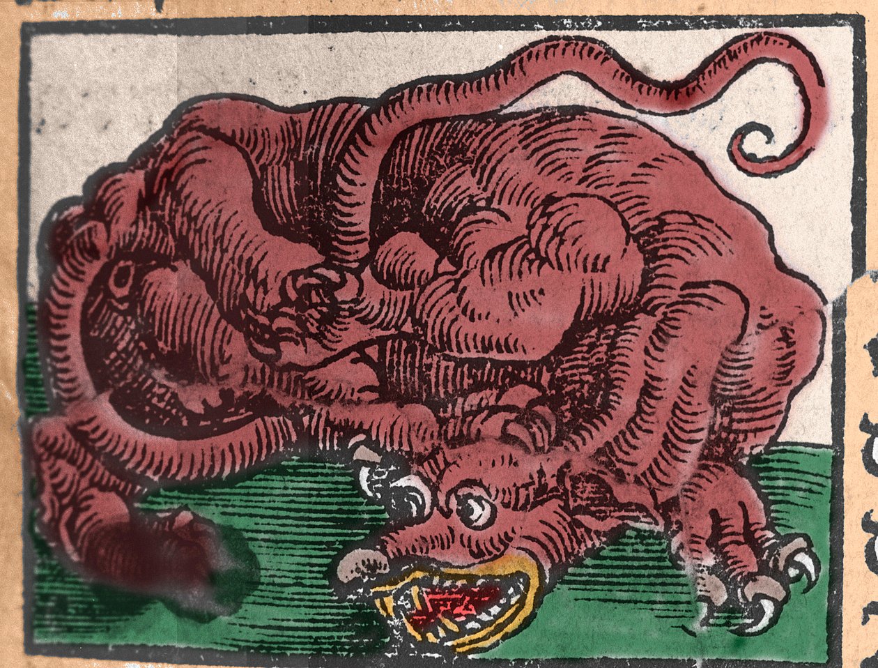 A sárkány ábrázolása. Metszet Johann Stumpff „Den Ellen Strength Beste Fromen”-ből. 1550 alkotó: Unknown artist