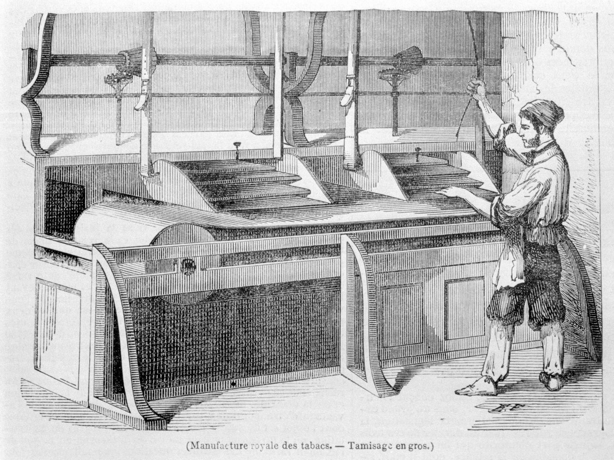 Royal Tobacco Factory: Dohány nagykereskedelme. 19. századi metszet. alkotó: Unknown artist