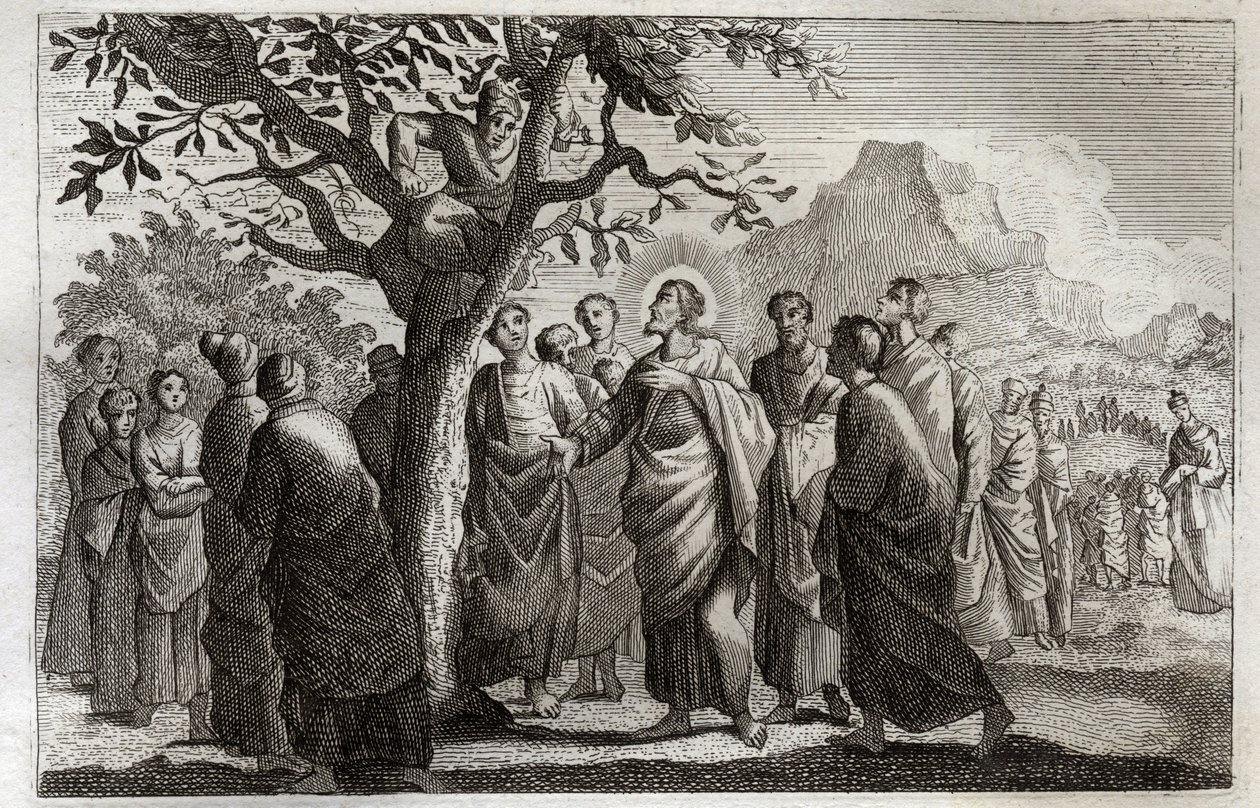 Royaumont Biblia, Újszövetség: Zachee megtérése. Jézus Krisztus beszél Zachee-vel a platánon. Illusztráció 1811-ből. alkotó: Unknown artist