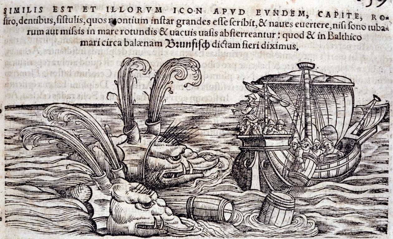 A tengerészek hordókat dobnak a tengerbe, hogy elvonják az üldöző szörnyek figyelmét. Conrad Gesner (1516-1565), Tiguri „Historia Animalium” című metszete alkotó: Unknown artist