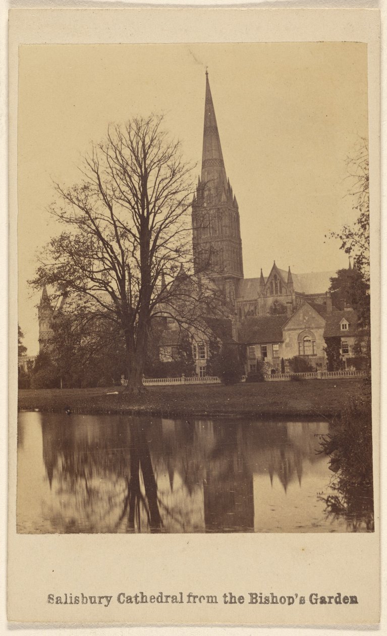 Salisbury székesegyház a püspök kertjéből alkotó: Unknown artist