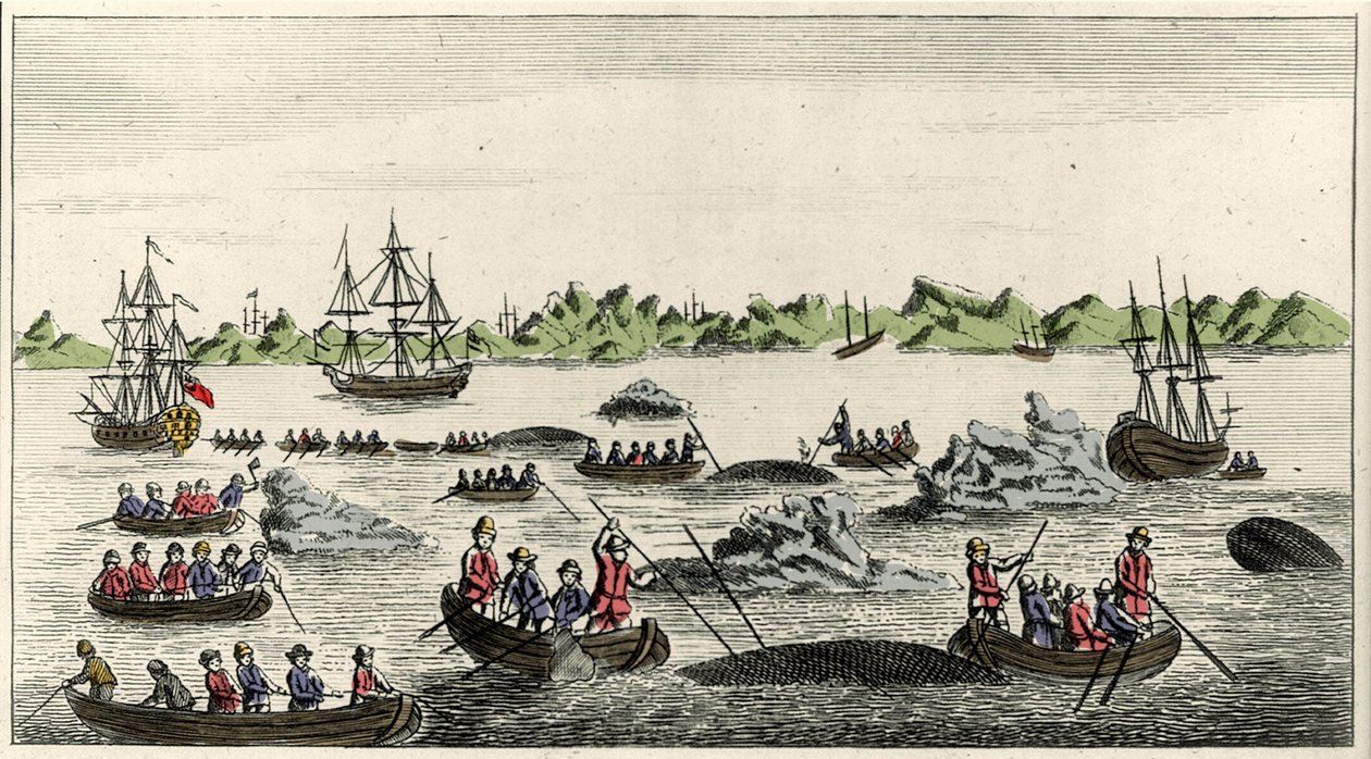 Bálnahalászat jelenete Grönlandon a 18. században, a korszak névtelen népszerű lenyomata alkotó: Unknown artist