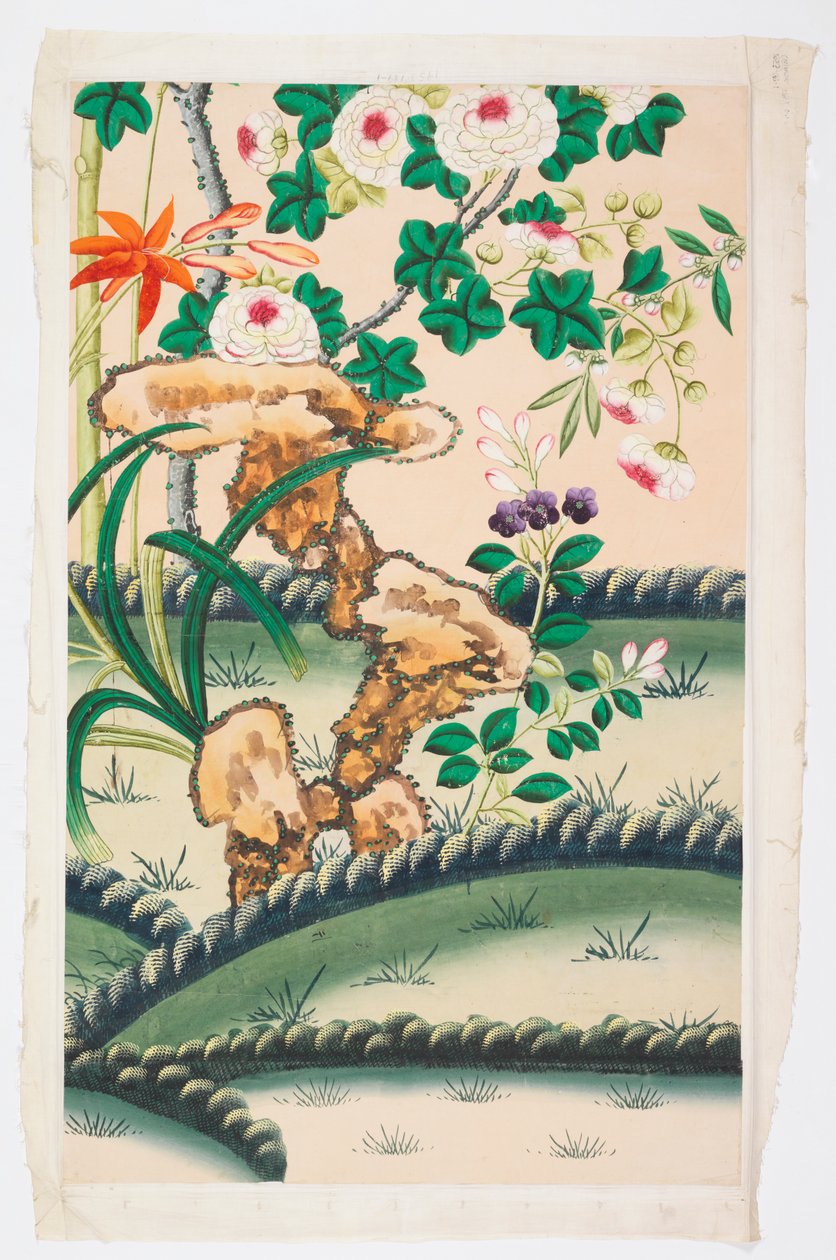 Festői kínai export alkotó: Unknown artist