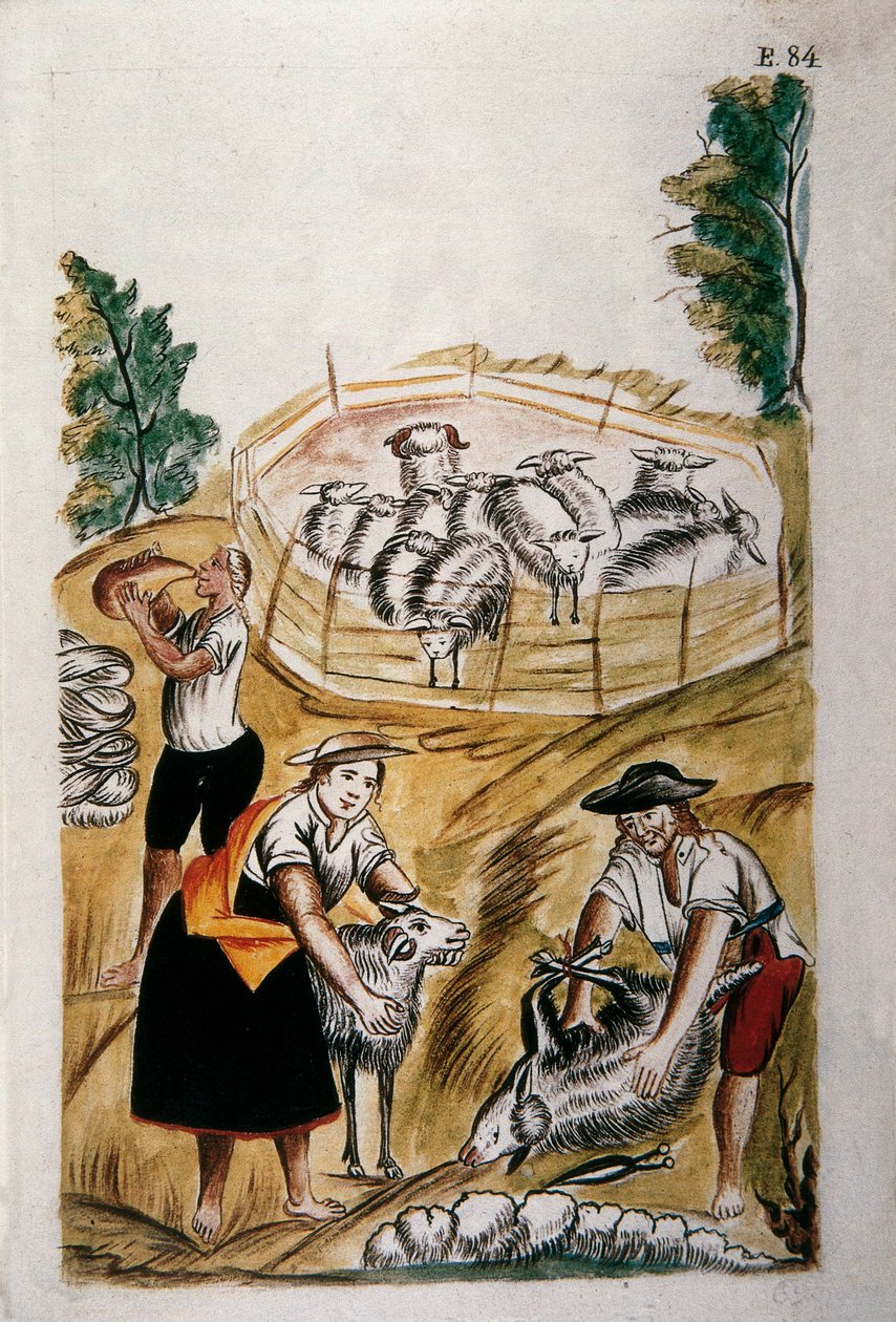 Birkanyírás, a "Trujillo of Peru" vagy a "Codex Martinez Companion" című könyvéből, Baltazar Martinez Companion és Bujanda, Trujillo püspöke (1782-1785) alkotó: Unknown artist