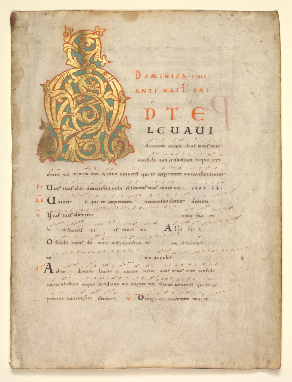 Egyetlen levél kivágása fokozatos és szentségi szolgálatból: Initial A[d te lavavi] alkotó: Unknown artist