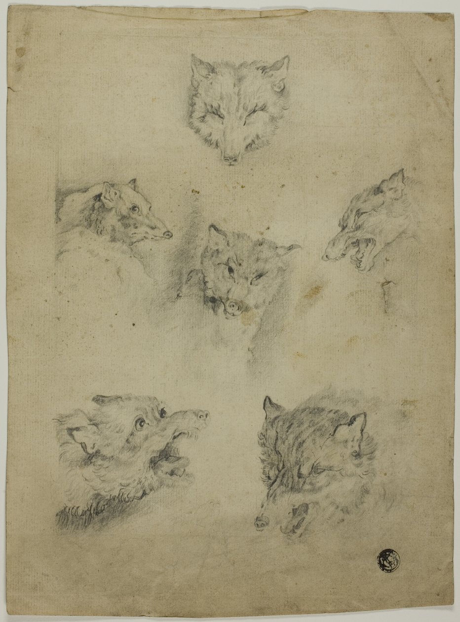 Hat vázlat a farkasfejekről alkotó: Unknown artist