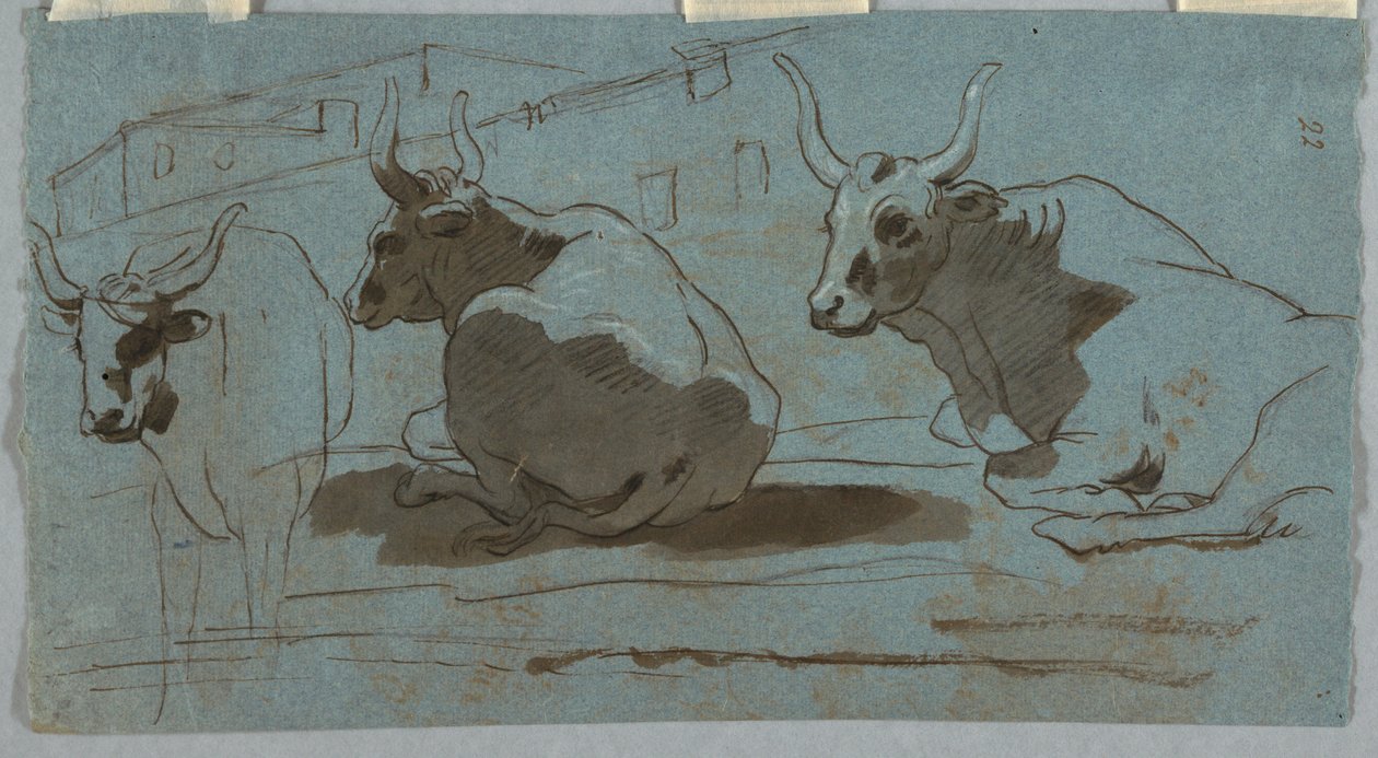 Vázlatok bikákról alkotó: Unknown artist