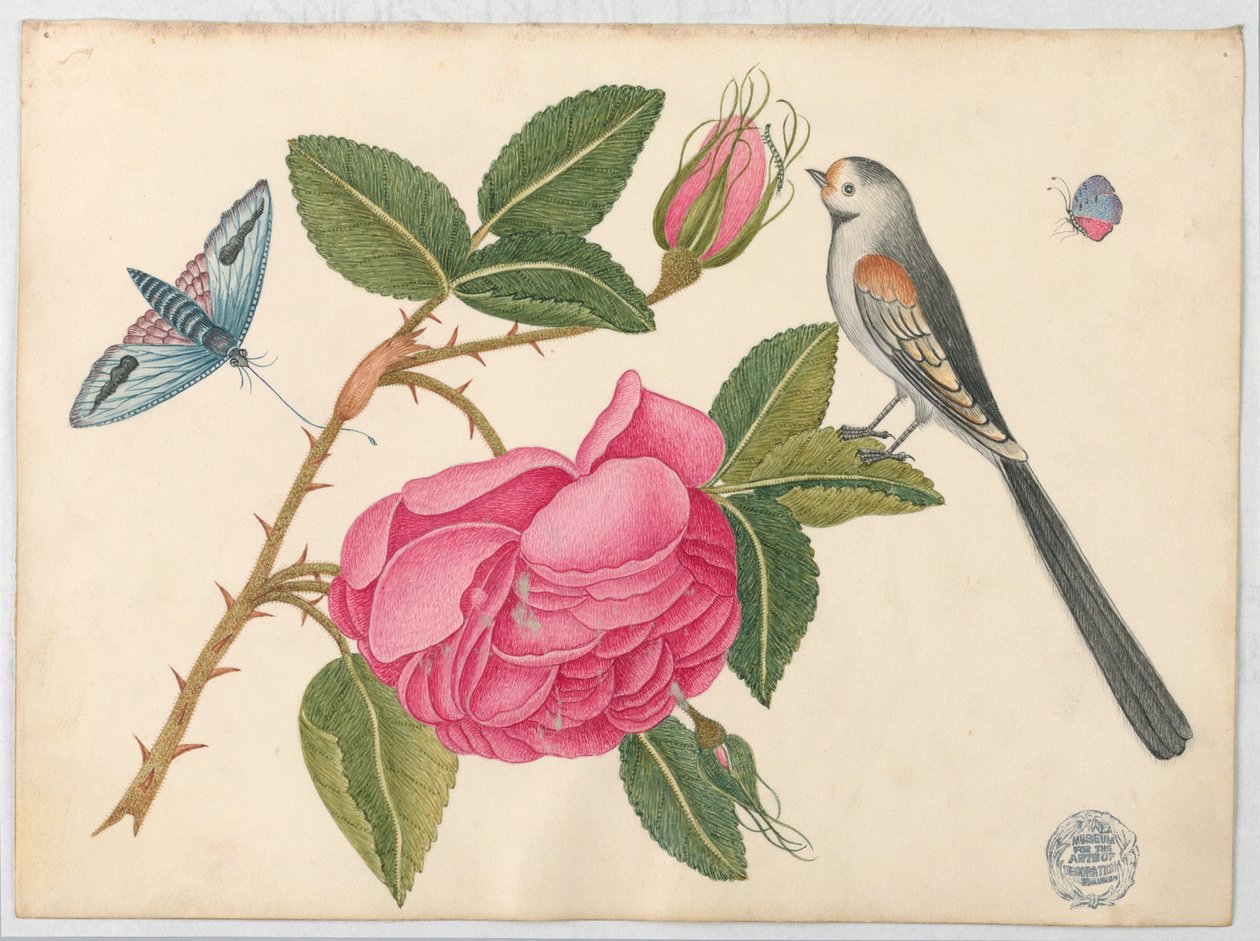 Kis fekete-fehér madár a rózsalevélen virágokkal és pillangókkal alkotó: Unknown artist