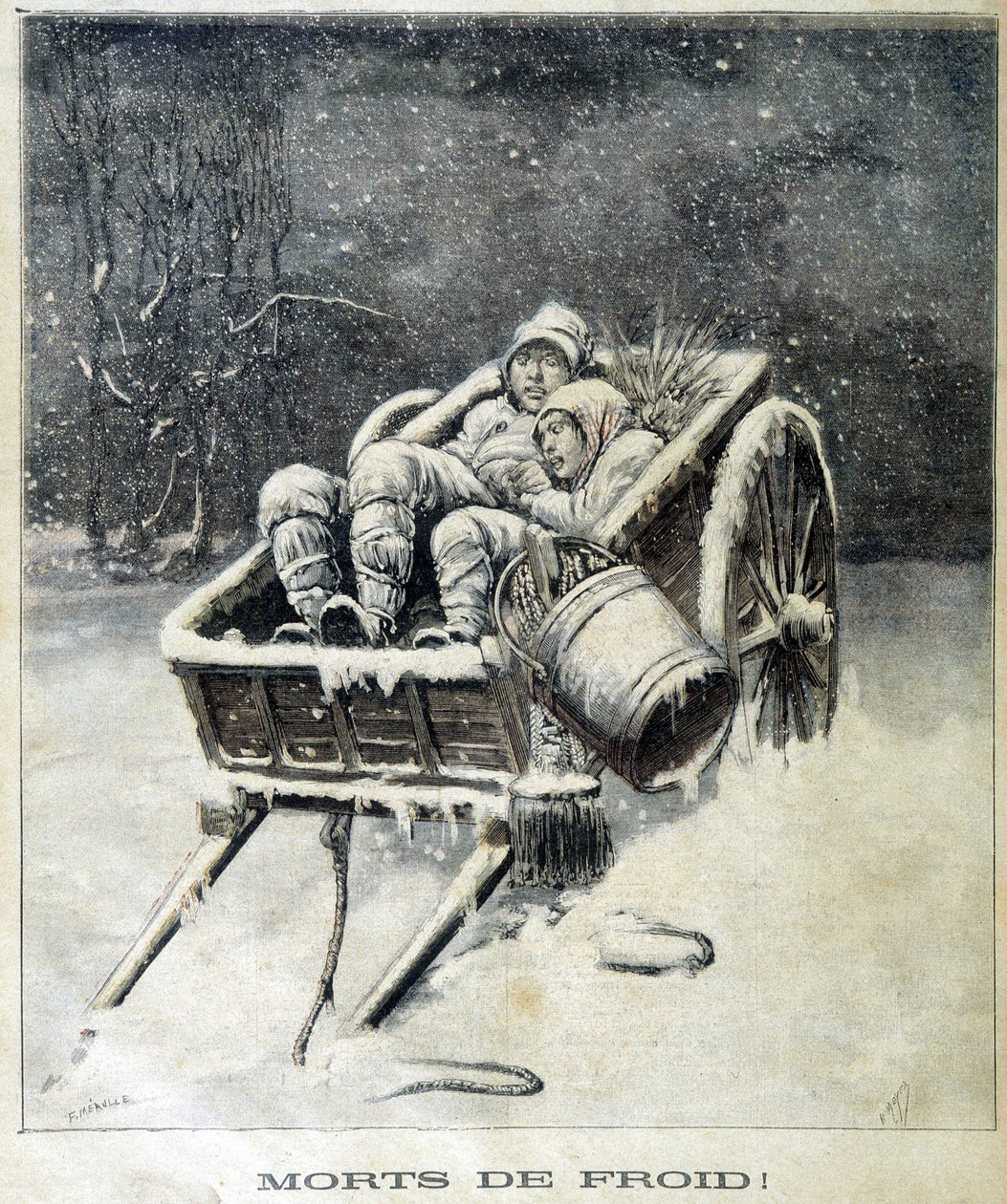 Kis kéménykémény Fougères környékén, a fagytól halott – a „Le Petit Journal”-ban” alkotó: Unknown artist