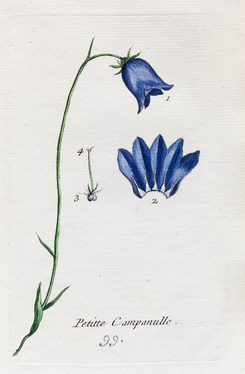  alkotó: Unknown artist