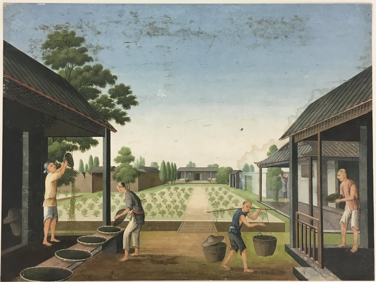Ruhák fonása, tealevelek előkészítése, selyem előkészítése alkotó: Unknown artist