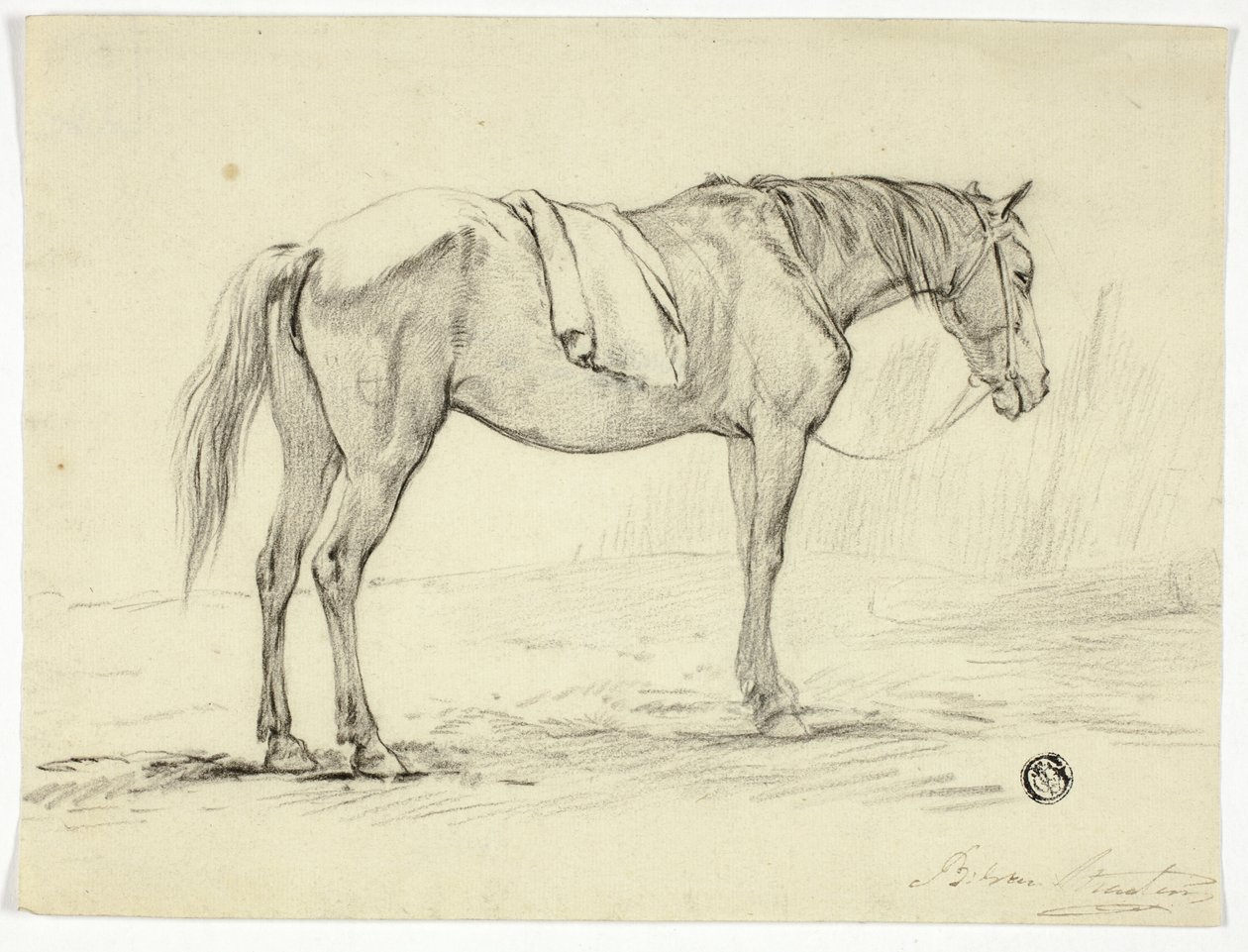 Álló ló alkotó: Unknown artist