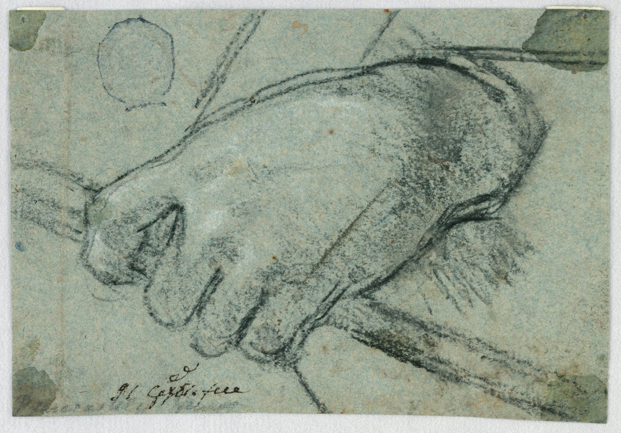 Tanulmány: Bal kéz bottal alkotó: Unknown artist