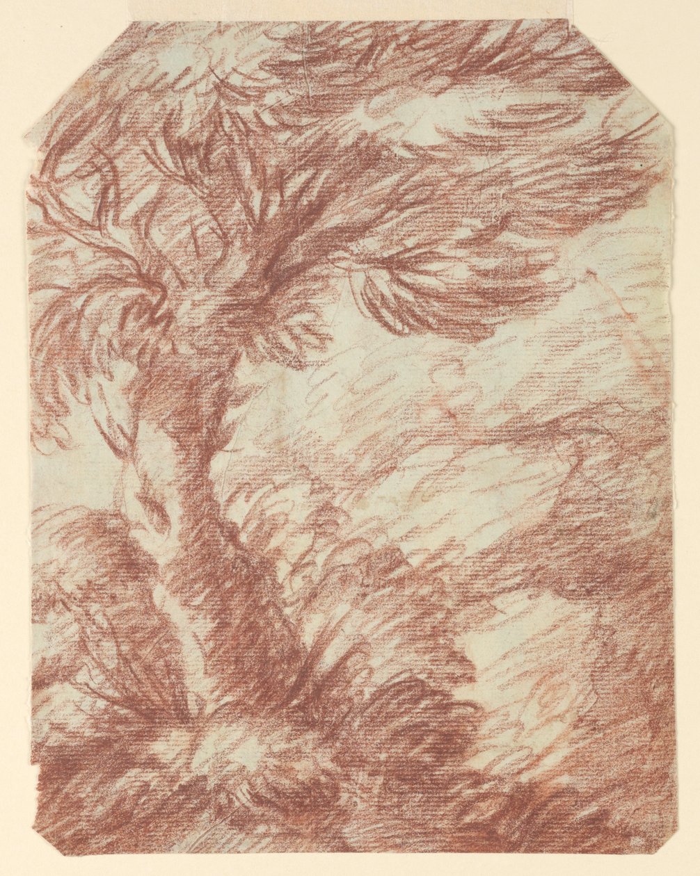 Fák tanulmányozása alkotó: Unknown artist