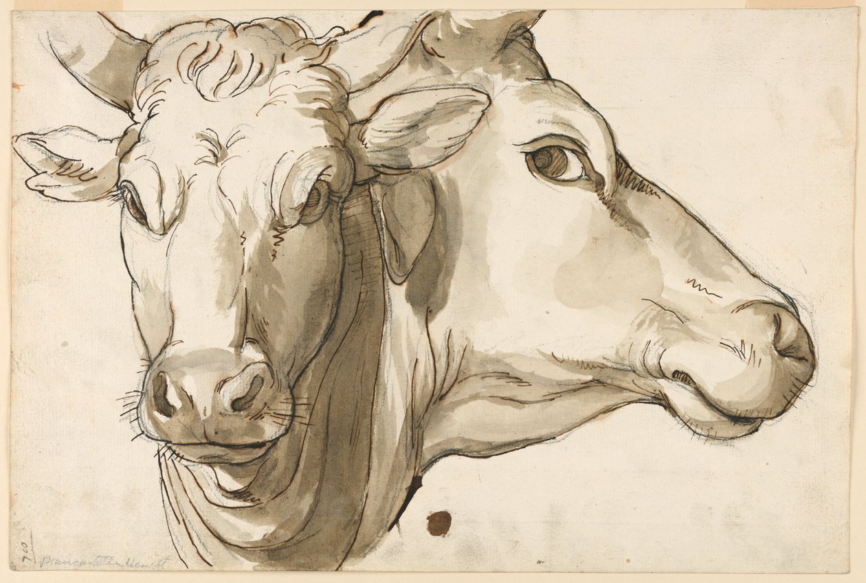 Study of a Cow   1270247   hu       hungarian Successfully Translated  Original: Rustende krijgsmannen onder een boom Translat: Rustende krijgsmannen onder een boom 1360862 hu hungarian Successfully Translated Original: ""Jeune femme etendue sous un arbre" alkotó: Unknown artist