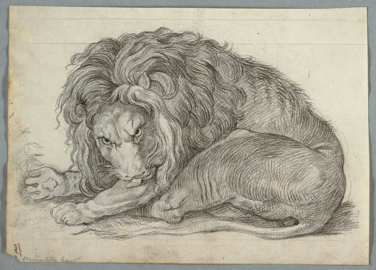 hungarian alkotó: Unknown artist