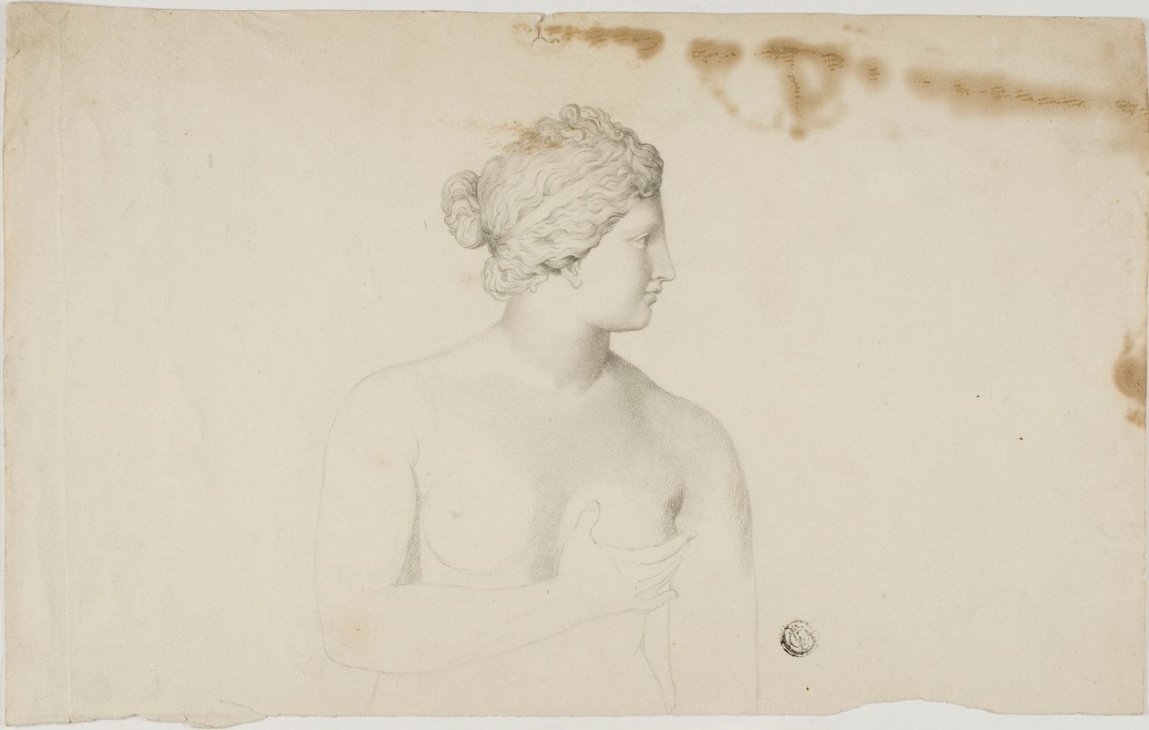 A Medici Vénusz tanulmányozása alkotó: Unknown artist