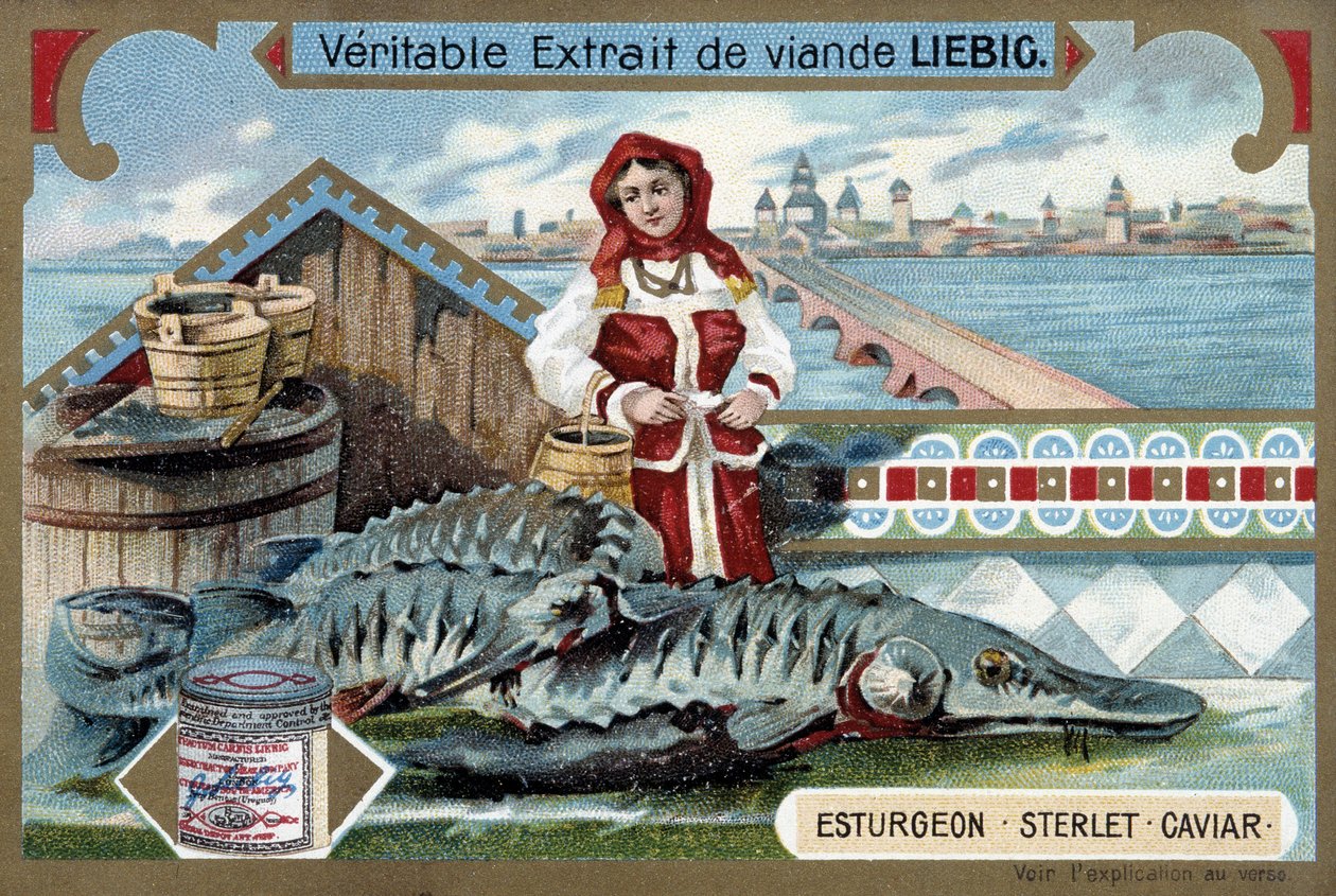 Tokhal, sterlet, kaviár, fiatal nővel, kezében vödrökkel, egy orosz város előtt - Liebig kromolitográfia alkotó: Unknown artist