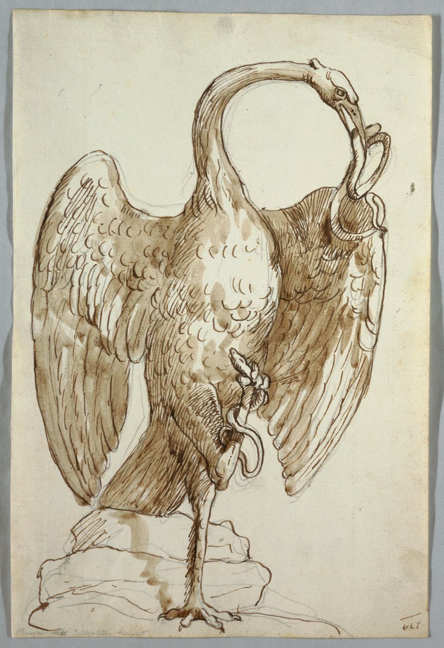 Hattyú és két kígyó alkotó: Unknown artist