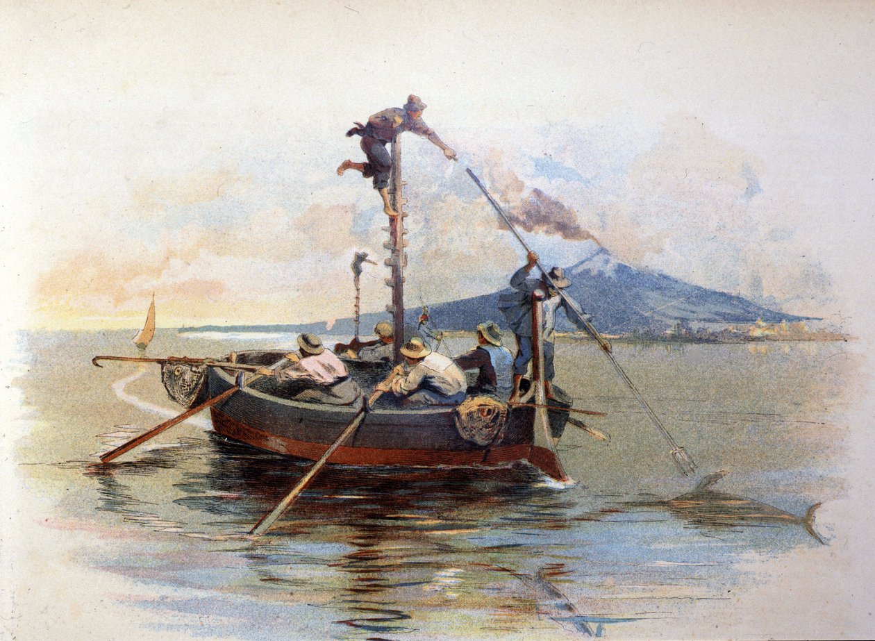 Kardhal szigonyos halászat a szicíliai Messina Detroitban. Akvarell 1898 alkotó: Unknown artist