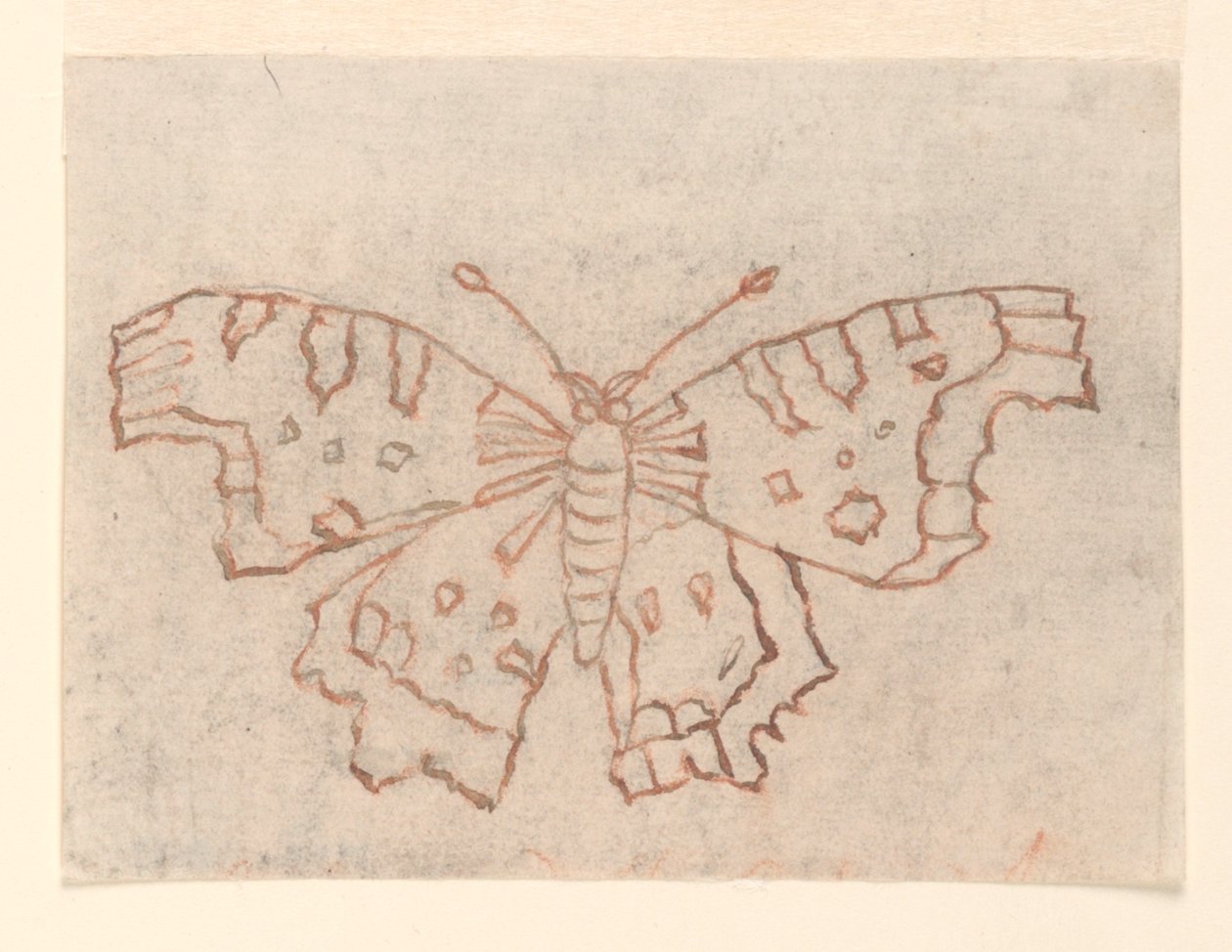 Textil Design: Egy pillangó alkotó: Unknown artist