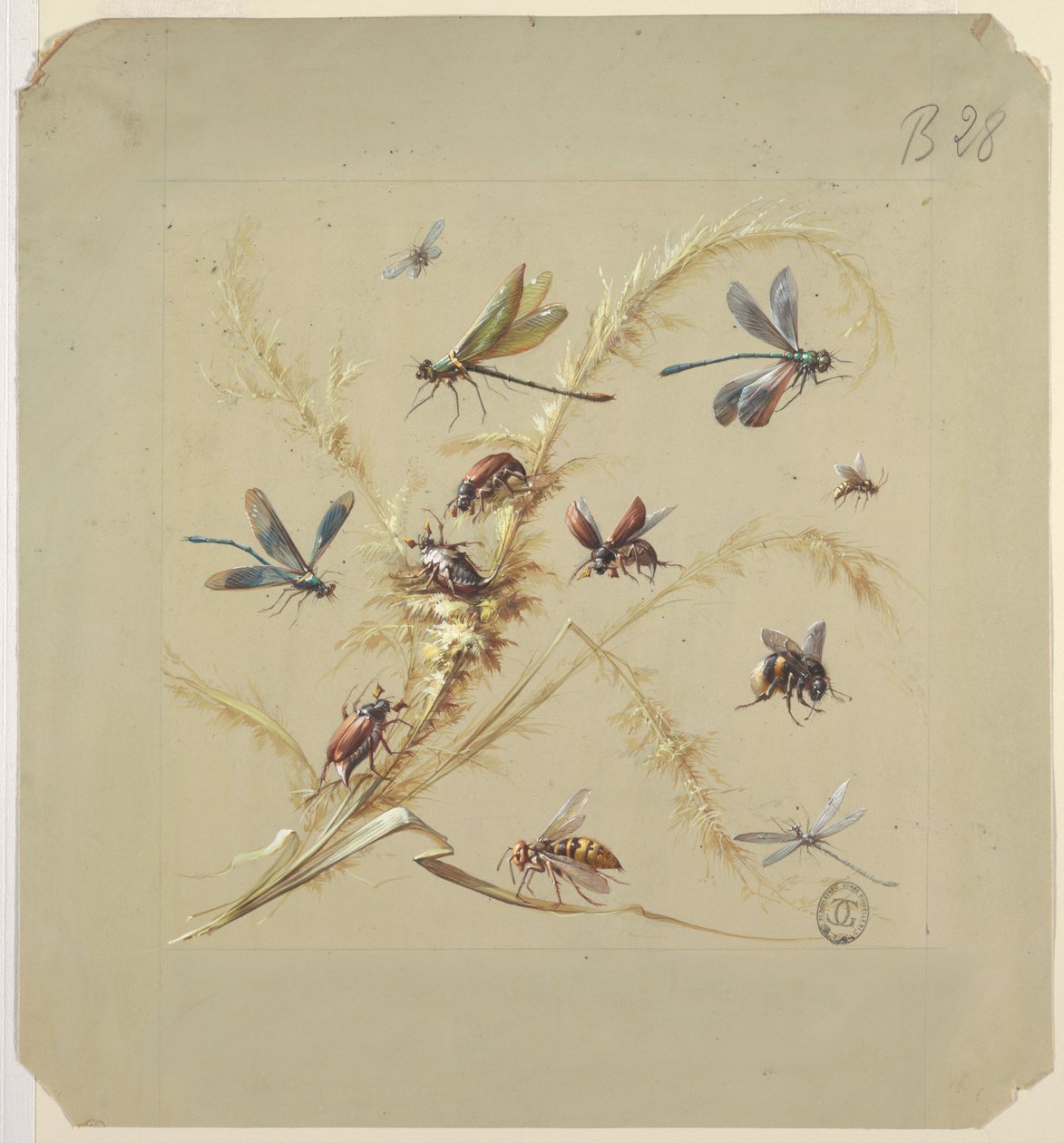 Textil- vagy tapétatervezés: rovarok alkotó: Unknown artist