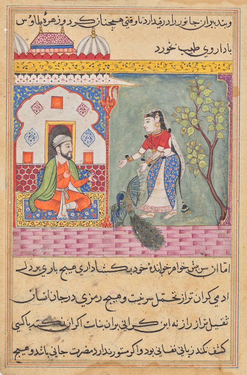 Brahman felesége, aki az orvos tanácsára megölt egy pávát és megette annak epehólyagját, egy Tuti-namából (Papagáj meséi): Tizenkilencedik éjszaka alkotó: Unknown artist