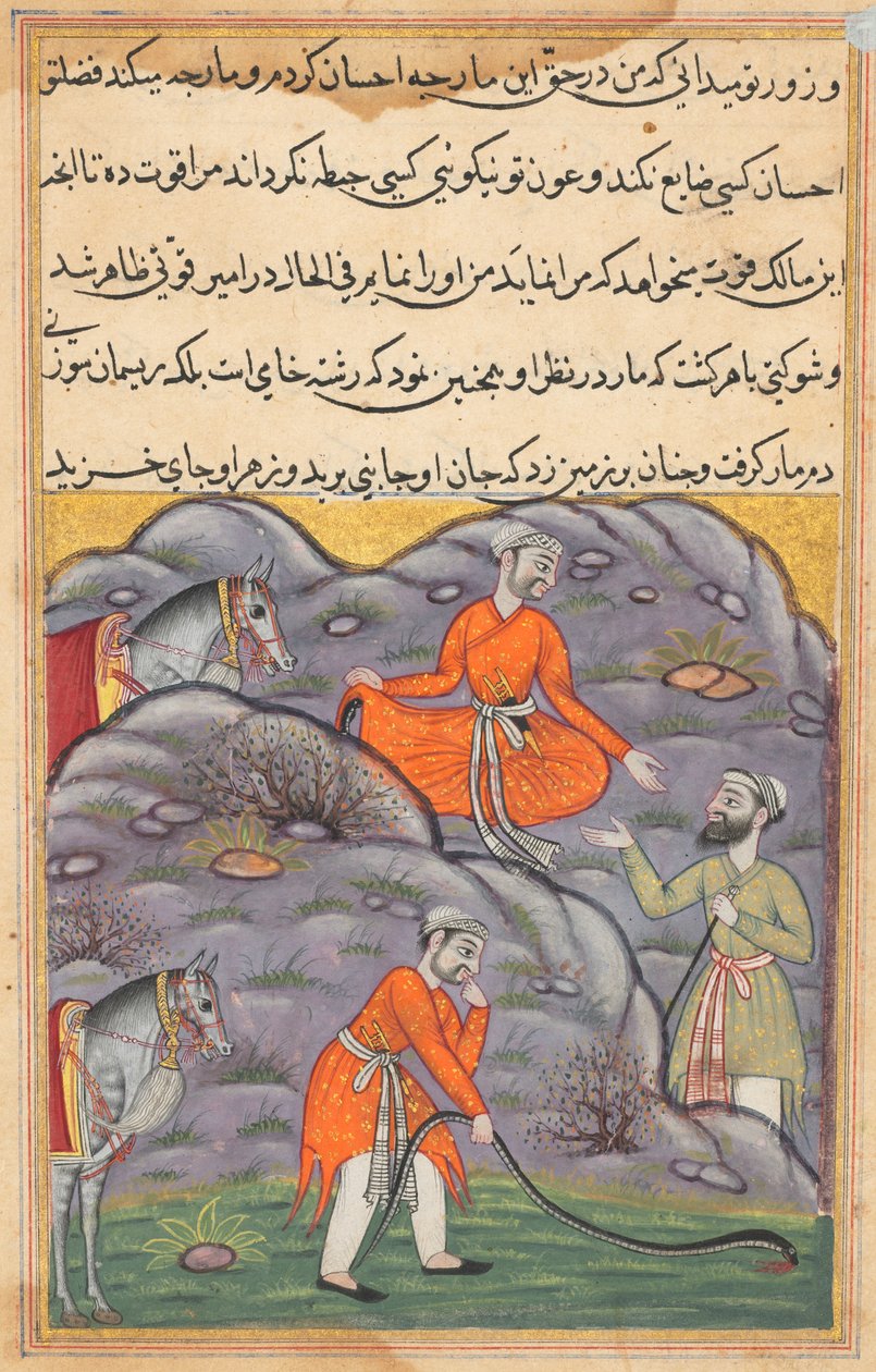 Az emír megöli a kígyót, miután menedéket adott neki, egy Tuti-namából (Papagáj meséi): Negyvenötödik éjszaka alkotó: Unknown artist