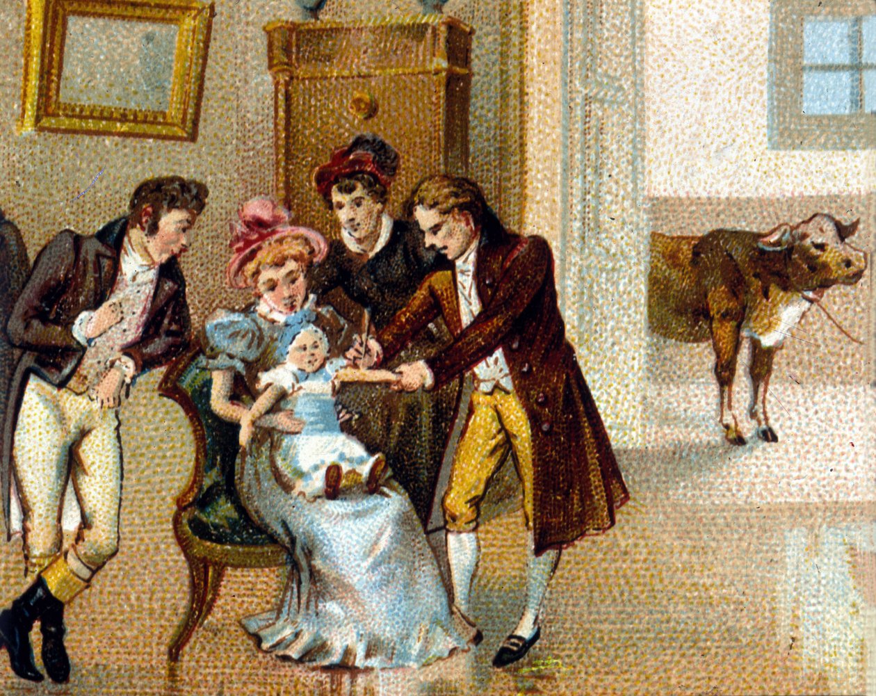 Edouard Jenner (1749-1823) angol orvos egy új ember karjára oltja be a himlőt, hogy beoltassa. A tehén, amelytől a szérumot vették, alul van. századi kromolitográfia. alkotó: Unknown artist