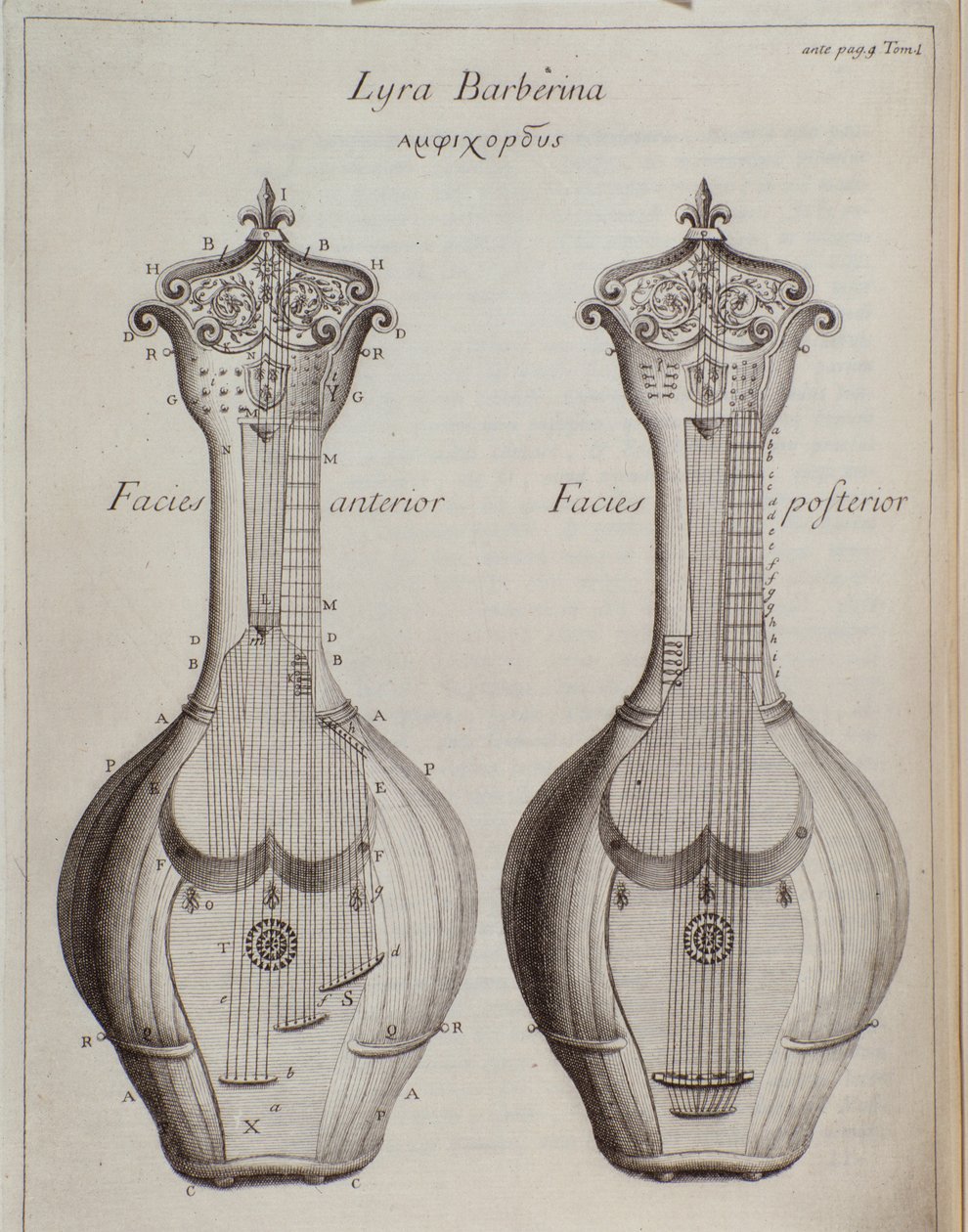 A Lyra Barberina (metszet alkotó: Unknown artist