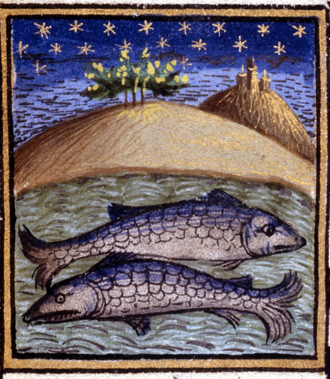 A Halak. Miniatűr horoszkóp. 15. századi kézirat. Bibl. Trivulziana, Milánó. alkotó: Unknown artist