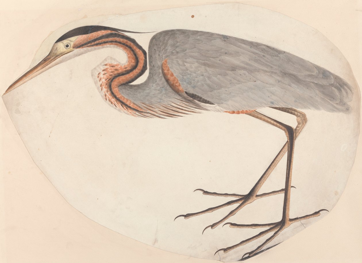 A lila gém alkotó: Unknown artist