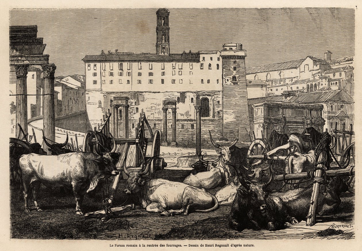 A római fórumon takarmánybérlés van, az ökrök szekerek és ősi romok közepén hevernek. Engravure pour illustrrer le voyage à Rome, Francis Wey, 1864-1868, megjelent a „Le tour du monde”” 1869-ben, szerkesztette Edouard Charton, Hachette kiadás, alkotó: Unknown artist
