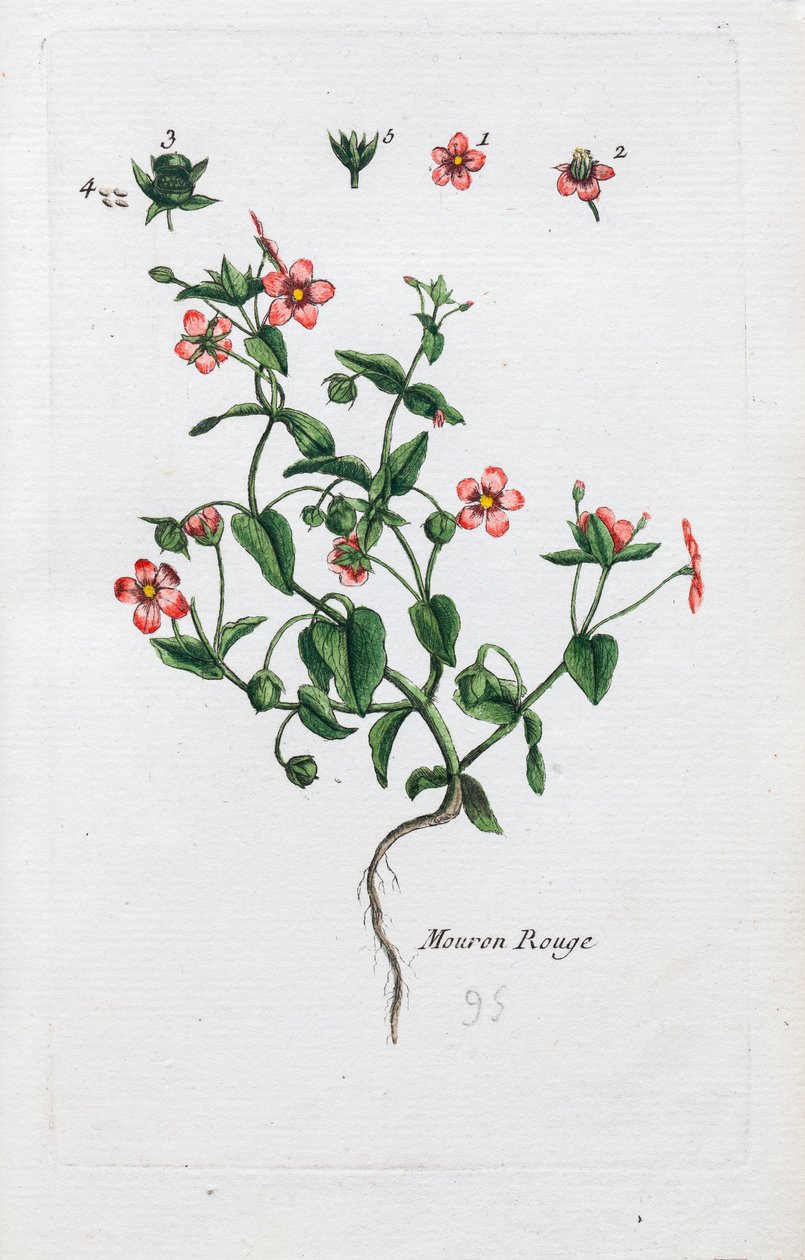  alkotó: Unknown artist